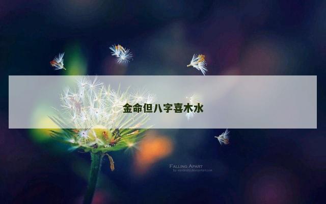 金命但八字喜木水