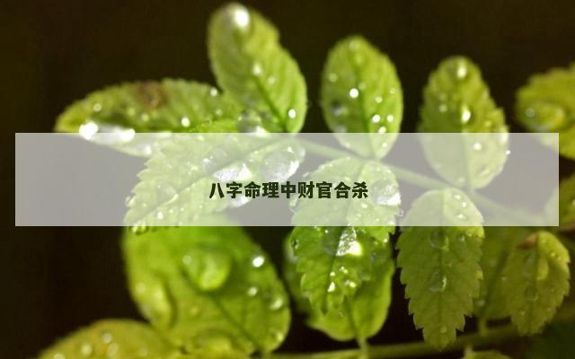 八字命理中财官合杀