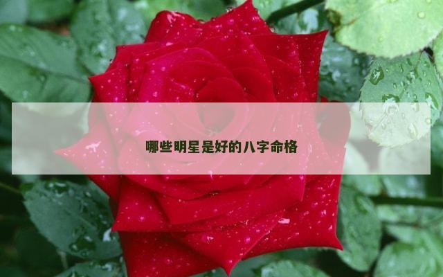 哪些明星是好的八字命格