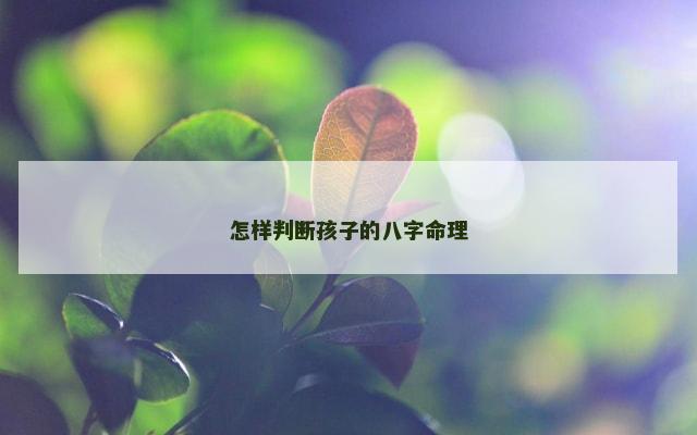 怎样判断孩子的八字命理