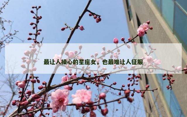 最让人操心的星座女，也最难让人征服