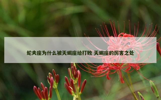蛇夫座为什么被天蝎座给打败 天蝎座的厉害之处