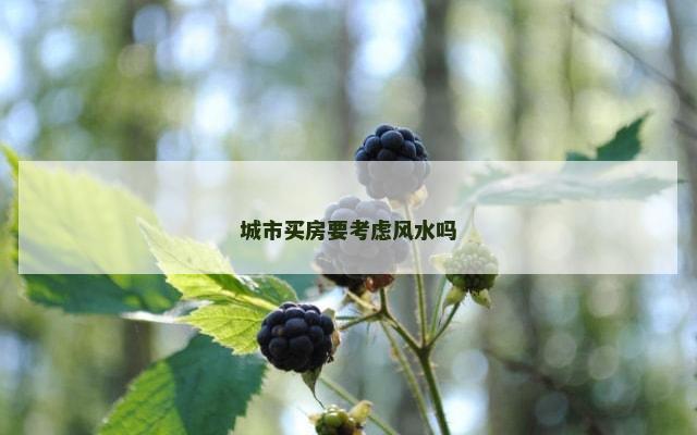 城市买房要考虑风水吗