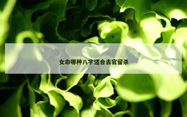 女命哪种八字适合去官留杀
