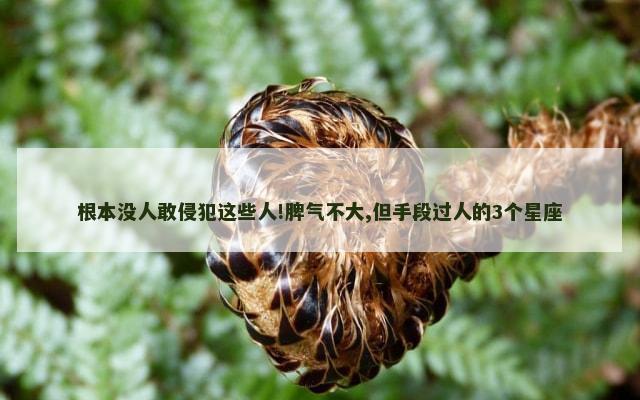 根本没人敢侵犯这些人!脾气不大,但手段过人的3个星座