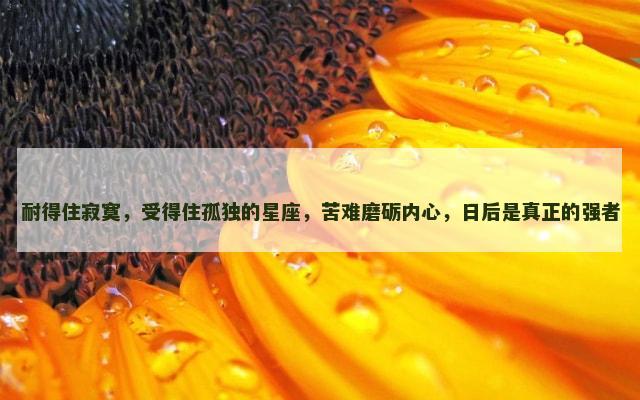 耐得住寂寞，受得住孤独的星座，苦难磨砺内心，日后是真正的强者
