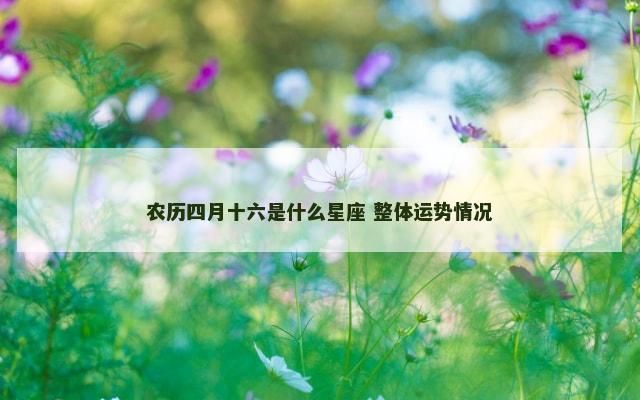 农历四月十六是什么星座 整体运势情况
