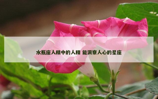 水瓶座人精中的人精 能洞察人心的星座