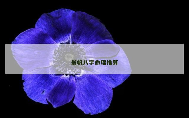 翁帆八字命理推算