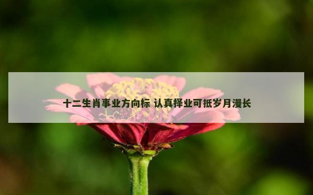 十二生肖事业方向标 认真择业可抵岁月漫长