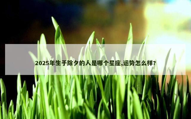 2025年生于除夕的人是哪个星座,运势怎么样?