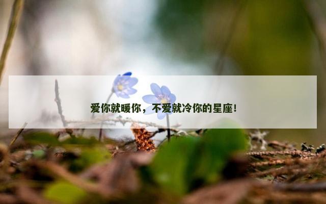 爱你就暖你，不爱就冷你的星座！