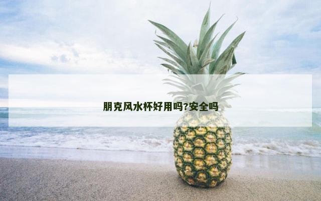 朋克风水杯好用吗?安全吗