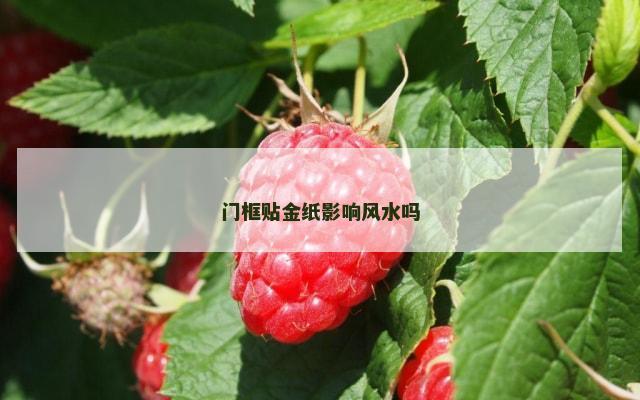 门框贴金纸影响风水吗