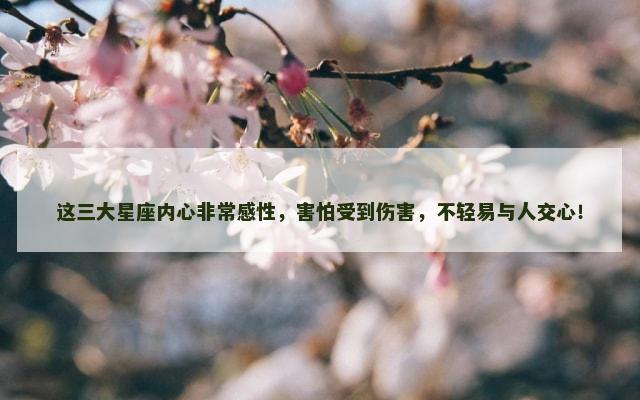 这三大星座内心非常感性，害怕受到伤害，不轻易与人交心！