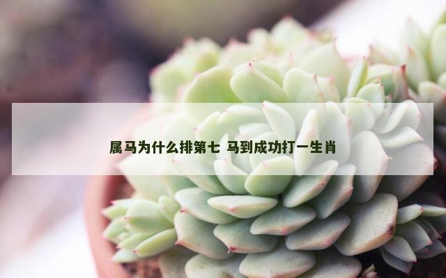 属马为什么排第七 马到成功打一生肖
