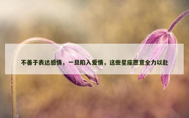 不善于表达感情，一旦陷入爱情，这些星座愿意全力以赴