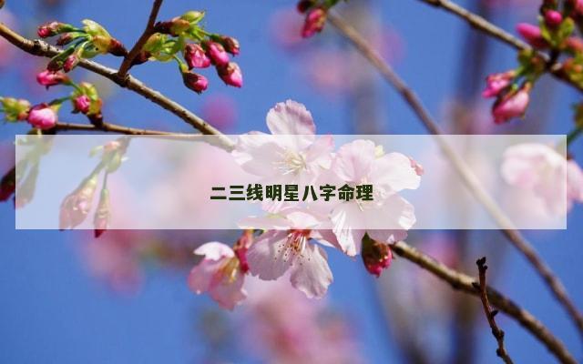 二三线明星八字命理