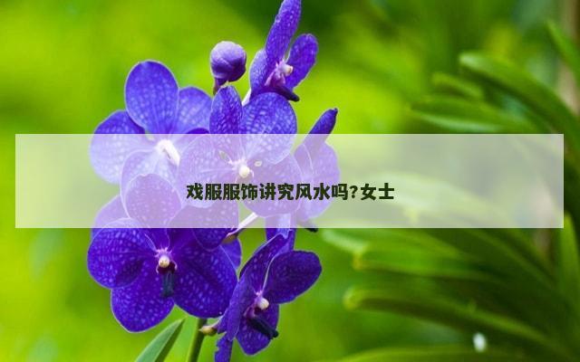 戏服服饰讲究风水吗?女士