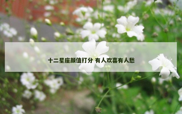 十二星座颜值打分 有人欢喜有人愁