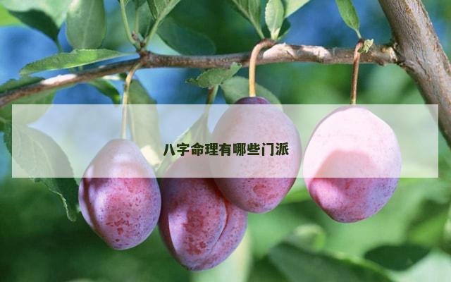 八字命理有哪些门派
