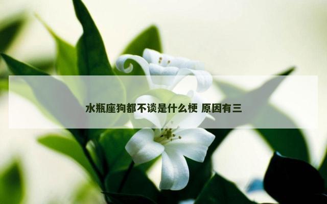 水瓶座狗都不谈是什么梗 原因有三