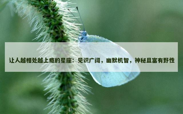 让人越相处越上瘾的星座：见识广阔，幽默机智，神秘且富有野性