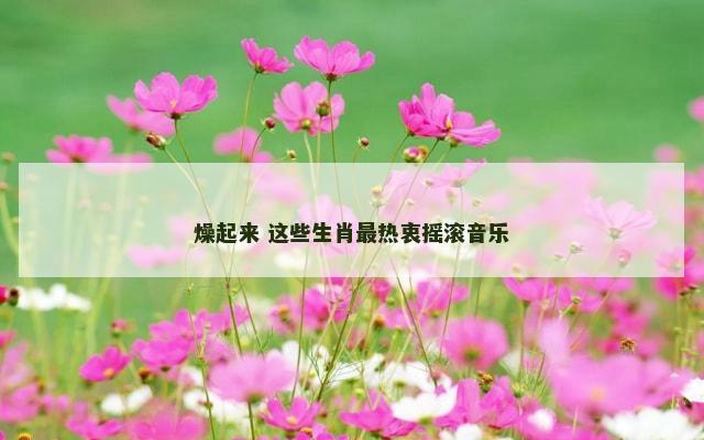 燥起来 这些生肖最热衷摇滚音乐