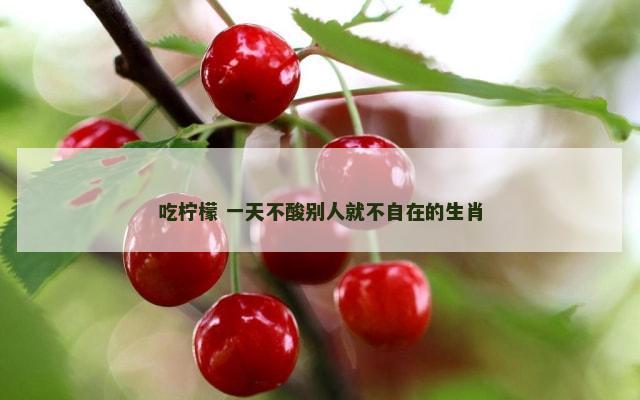 吃柠檬 一天不酸别人就不自在的生肖