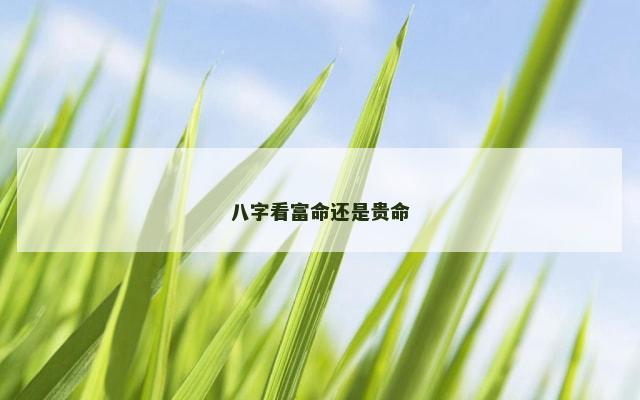 八字看富命还是贵命