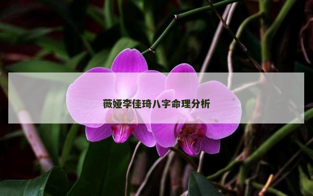 薇娅李佳琦八字命理分析