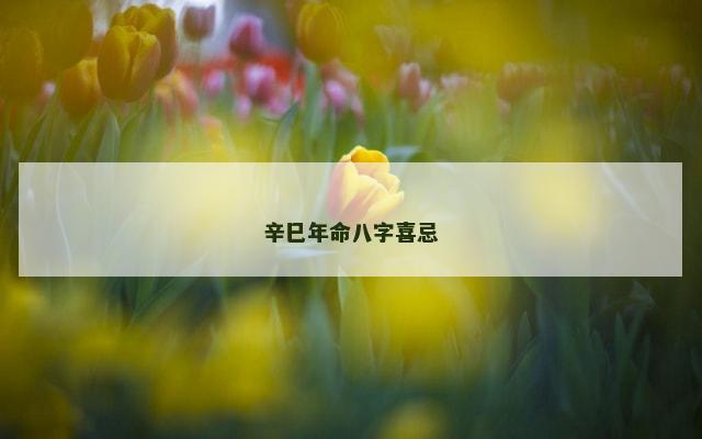 辛巳年命八字喜忌