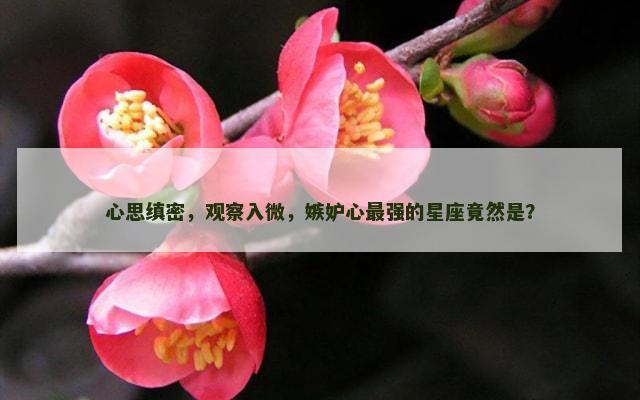 心思缜密，观察入微，嫉妒心最强的星座竟然是？