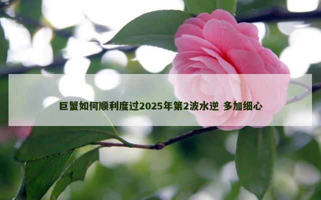 巨蟹如何顺利度过2025年第2波水逆 多加细心