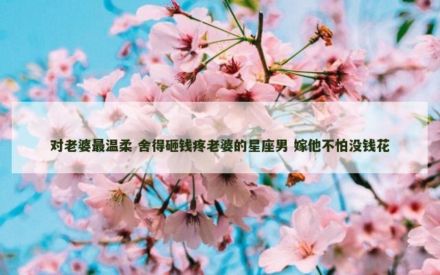 对老婆最温柔 舍得砸钱疼老婆的星座男 嫁他不怕没钱花