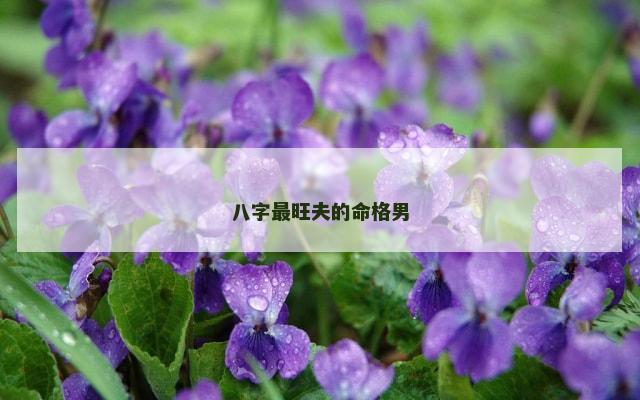 八字最旺夫的命格男
