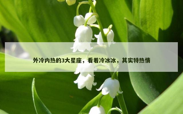 外冷内热的3大星座，看着冷冰冰，其实特热情