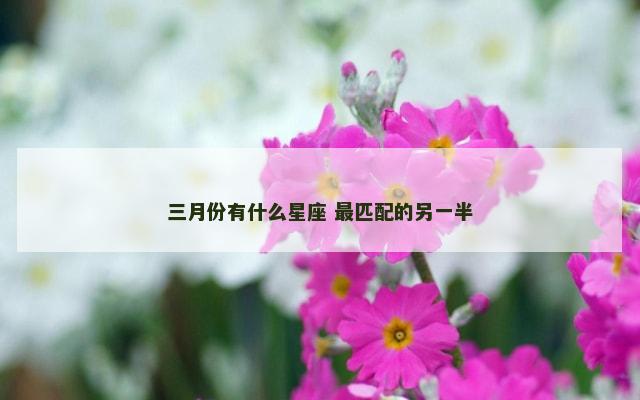 三月份有什么星座 最匹配的另一半