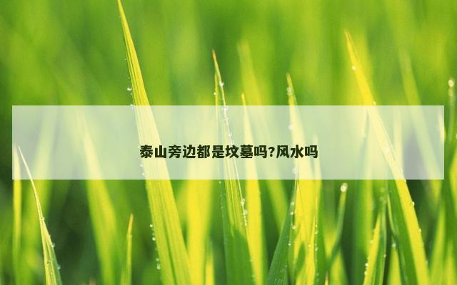 泰山旁边都是坟墓吗?风水吗
