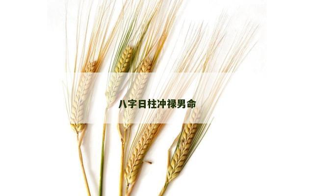 八字日柱冲禄男命