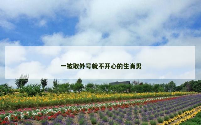 一被取外号就不开心的生肖男