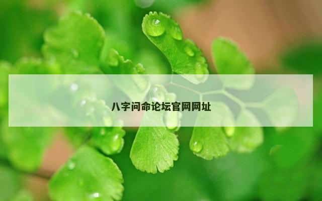 八字问命论坛官网网址