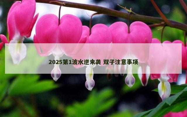 2025第1波水逆来袭 双子注意事项