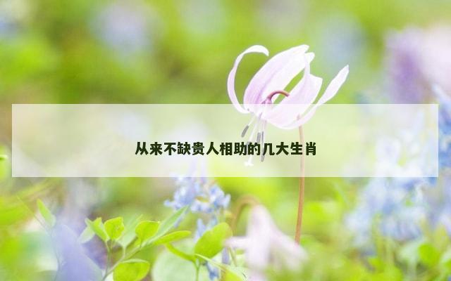 从来不缺贵人相助的几大生肖