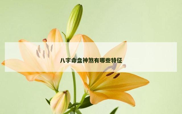八字命盘神煞有哪些特征