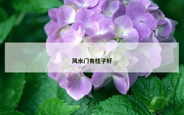 风水门有柱子好