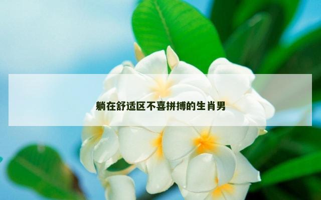 躺在舒适区不喜拼搏的生肖男