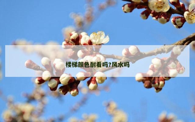 楼梯颜色耐看吗?风水吗
