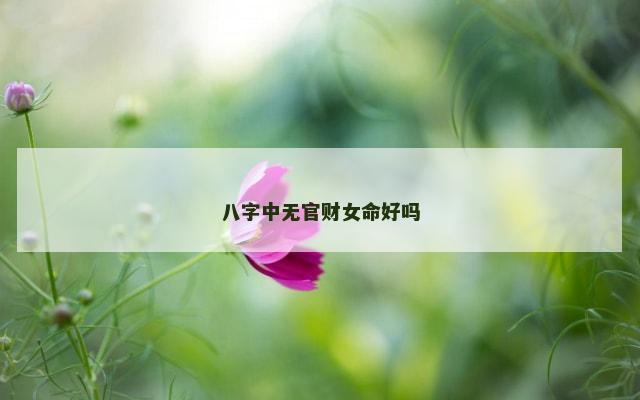 八字中无官财女命好吗
