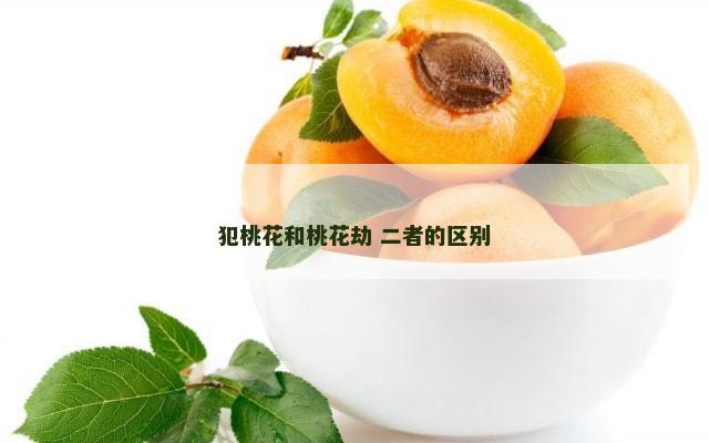 犯桃花和桃花劫 二者的区别
